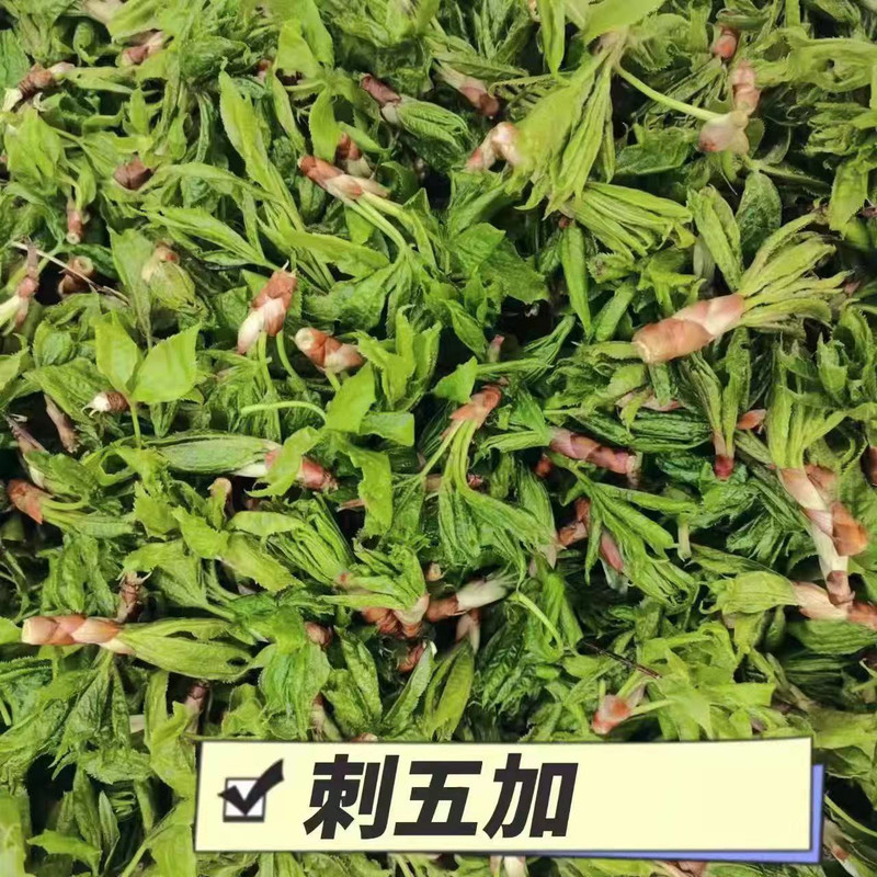 农家自产自销 &quot;蛟河山野菜组合2 (净6斤菜/省内包邮） （刺老芽1.5斤