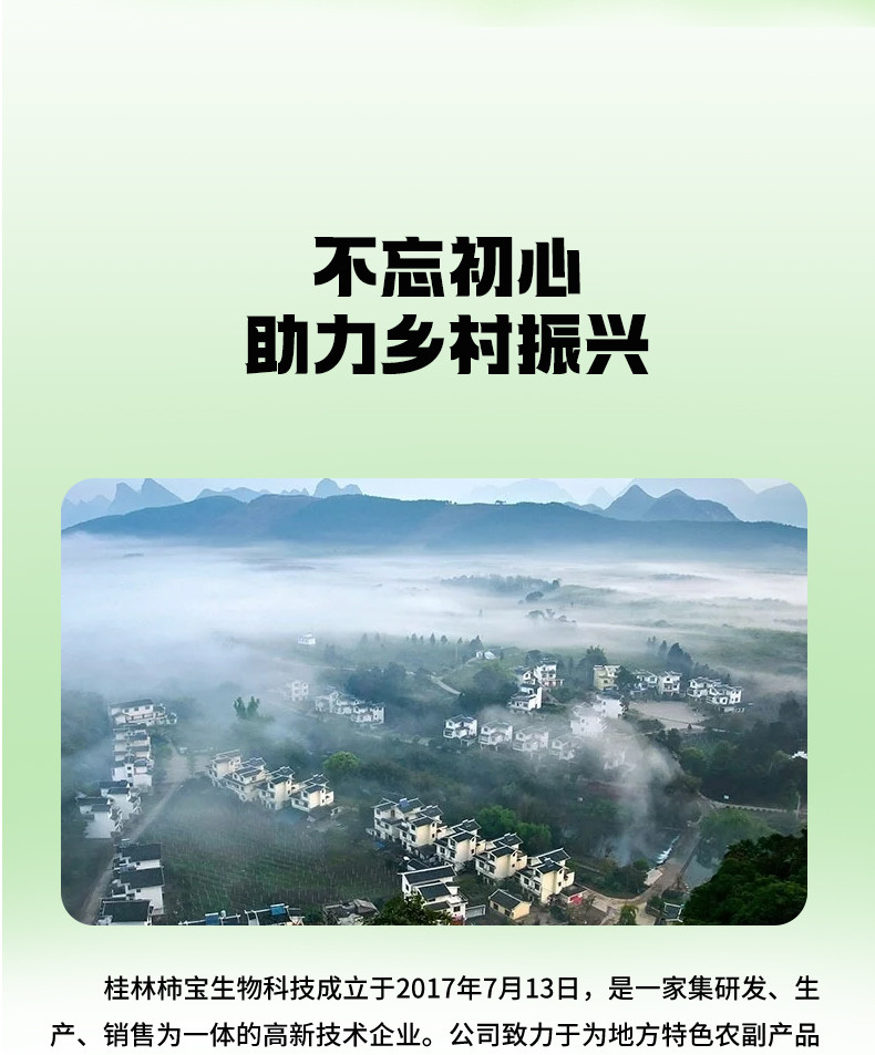 美柿山丘 美柿山丘 柿子含片口气清新润喉糖果 恭城月柿柿子压片糖果