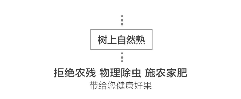 【沂蒙崮乡振兴馆】山东头茬羊角蜜甜瓜当季蜜瓜香瓜新鲜水果现摘现发孕妇水果羊角蜜