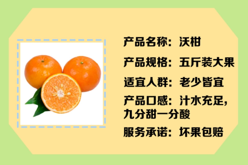 中国邮政 【大理邮政】大理宾川新鲜现摘高原精品沃柑大果五斤装包邮