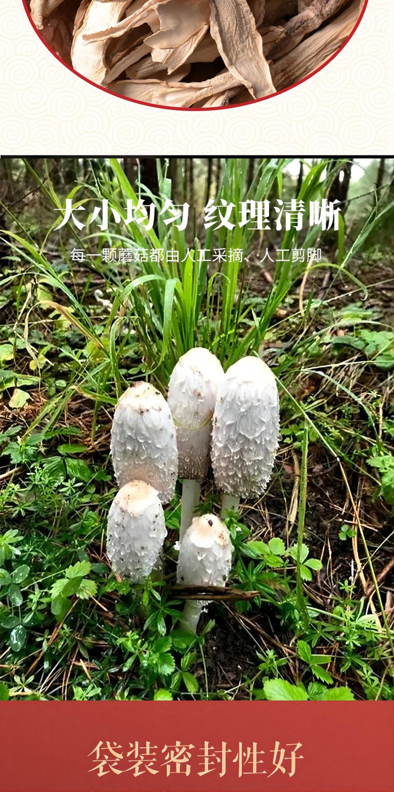 裕栢福 裕栢福干菌子蘑菇鸡腿菇100g*2