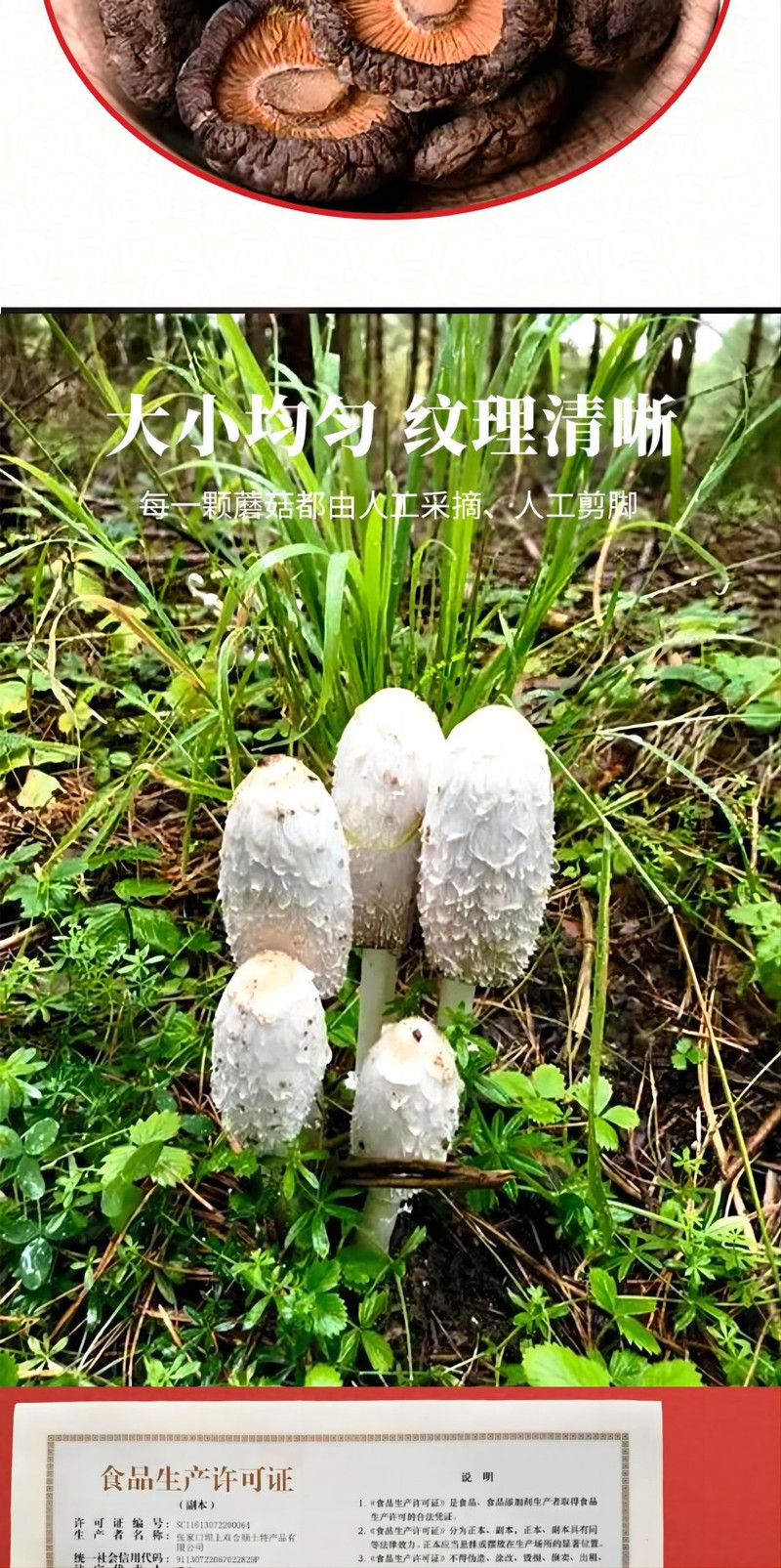 裕栢福坝上草原蘑菇 香菇100g 干货肉厚土特产*2