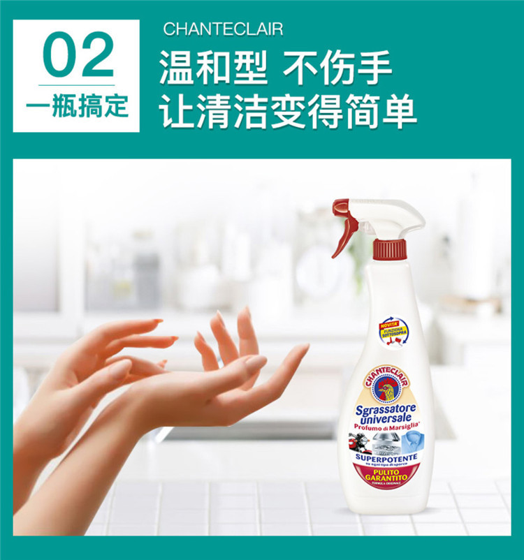 大公鸡管家/CHANTECLAIR 多能去污清洁剂（经典）600ml*2瓶