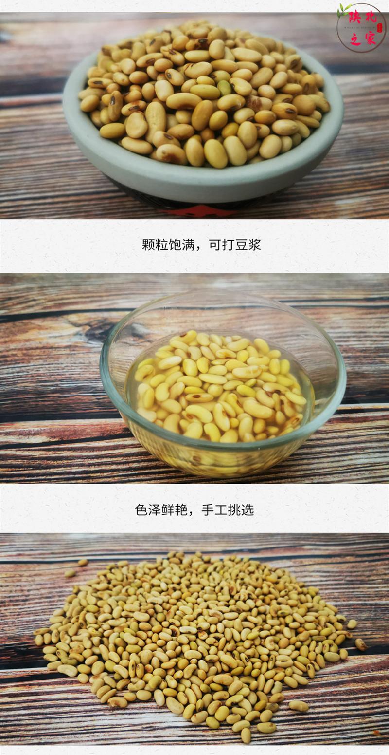 陕北肾形黄豆老品种特产包邮农家自种自产打豆浆专用五谷杂粮