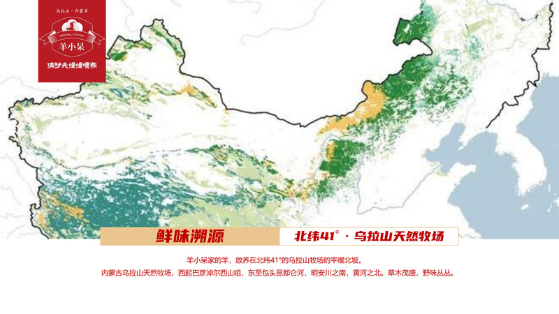 羊小呆 内蒙古 乌拉山牧区散养乌拉山羊肉 精选3岁羯羊  赠送羊腩