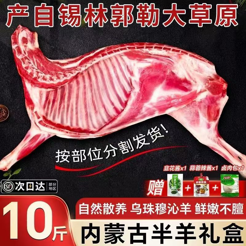 羊小呆 内蒙古散养羊排羊腿羊蝎子新鲜羊肉 0添加 半只羊可切块