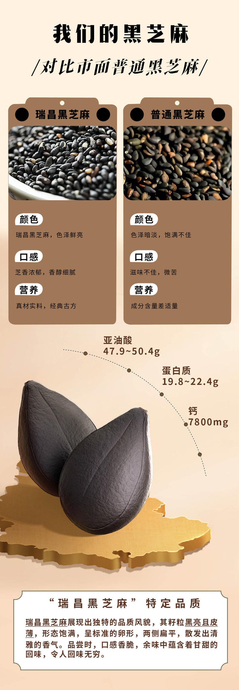 天兴 江西瑞昌黑芝麻传统糕点原色原香休闲解馋糕点礼盒