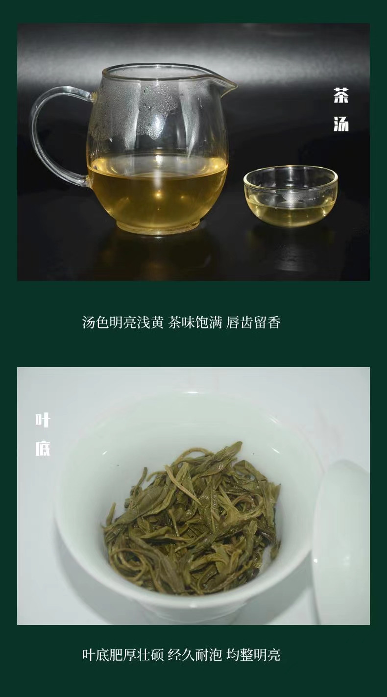 滇芋 【云南文山麻栗坡县农品】 老山古树茶老山百年绿茶 散茶 250g/袋