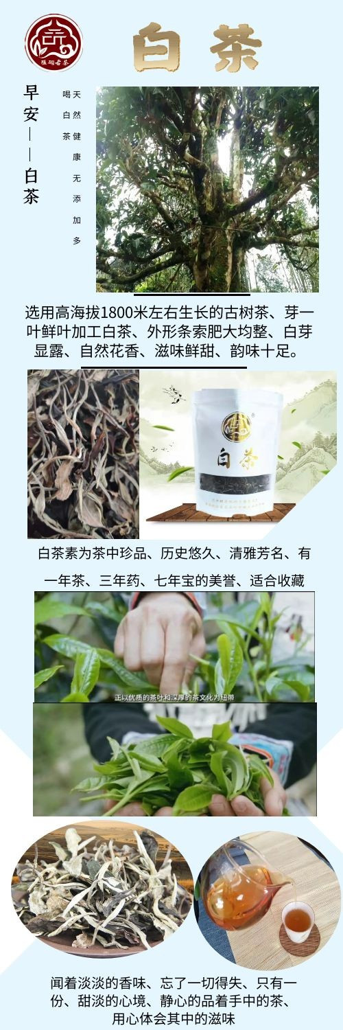 滇芋 【云南文山麻栗坡县农品】麻栗坡猛硐古树白茶 散装茶 200g/袋