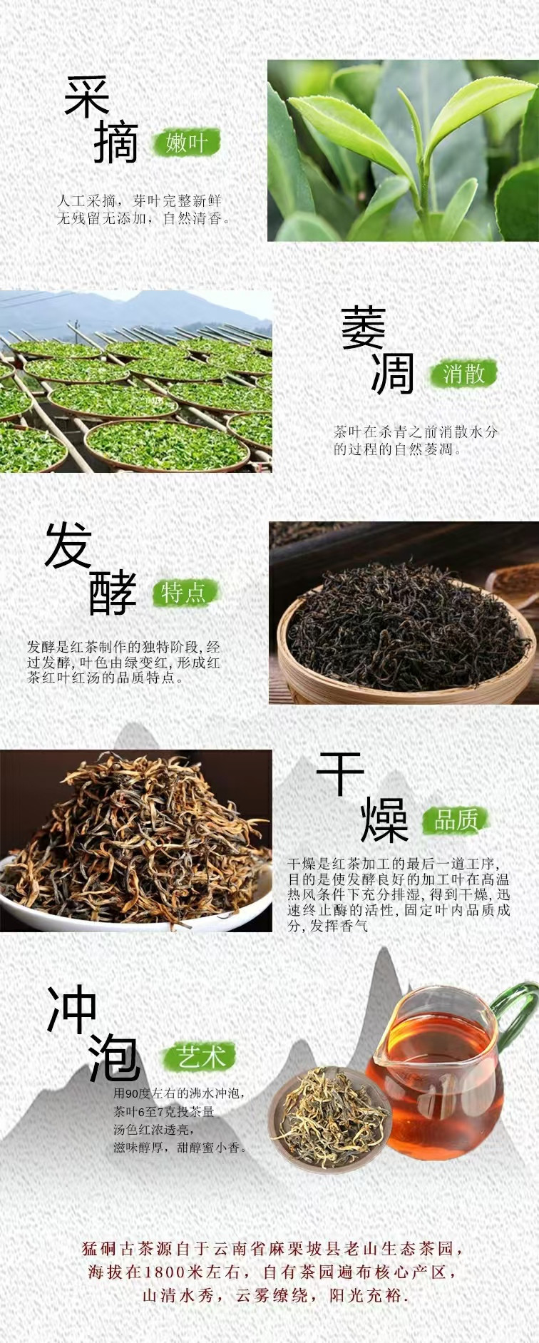 滇芋 文山麻栗坡县农品猛硐古树红茶蜜香型250g