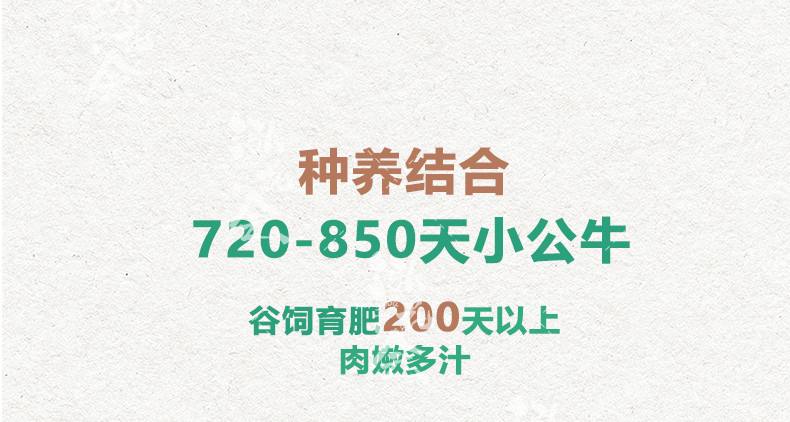 泓花会 内蒙草原有机原切牛腱子肉+牛腩+牛肉块组合