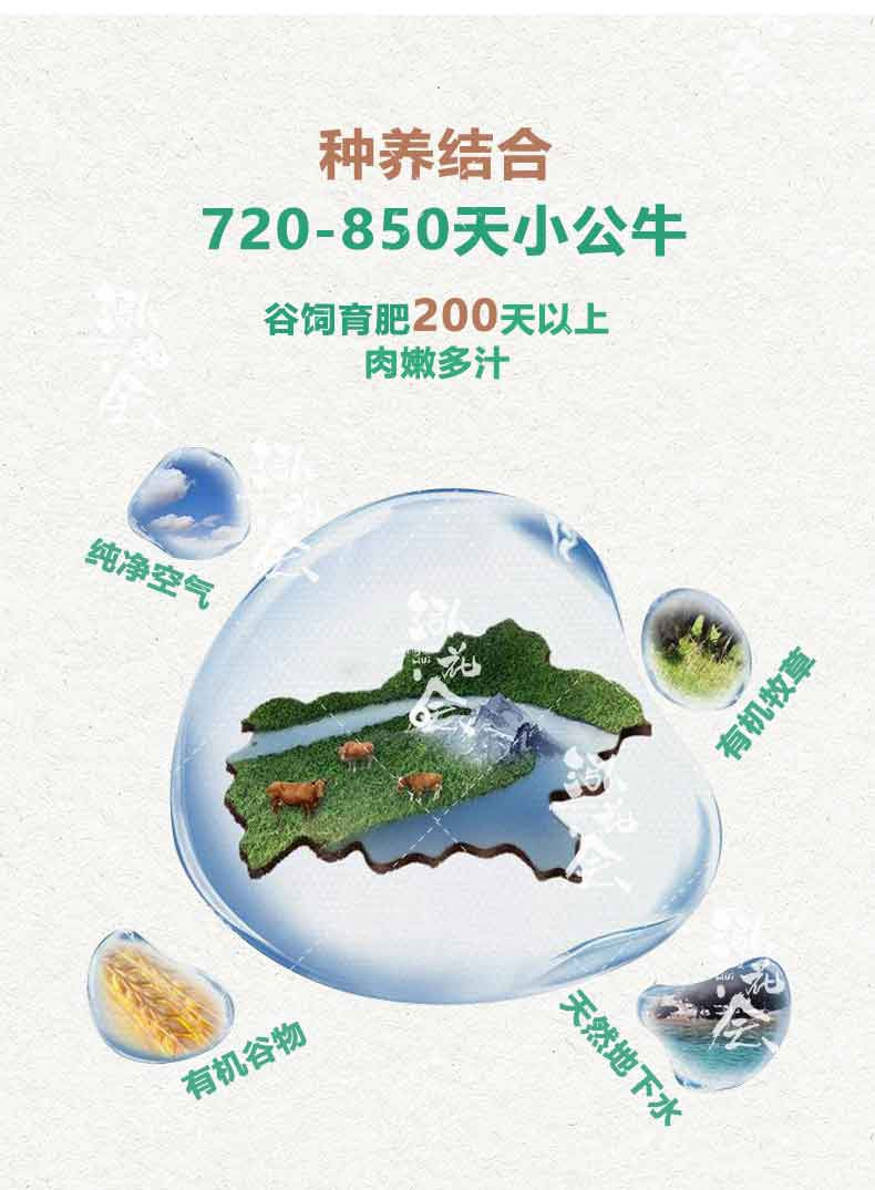 泓花会 内蒙草原有机原切牛腱子肉500克/袋