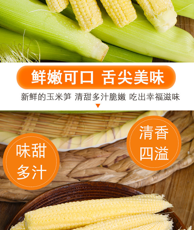 农家自产 新鲜甜玉米笋 迷你小玉米芯仔蔬菜嫩玉米水果玉米