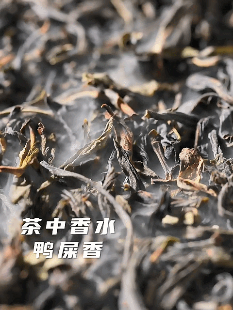 潮誉坊 广东潮汕凤凰单从茶鸭屎香