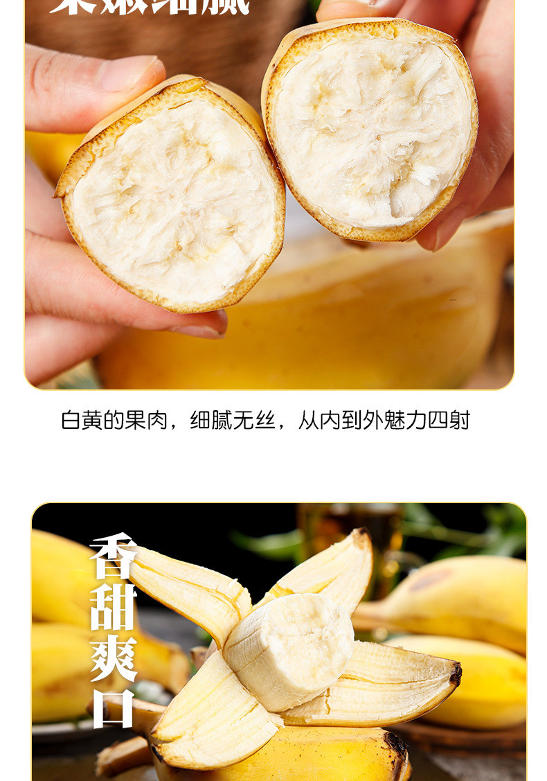 潮誉坊 苹果蕉应季水果香蕉精品现摘