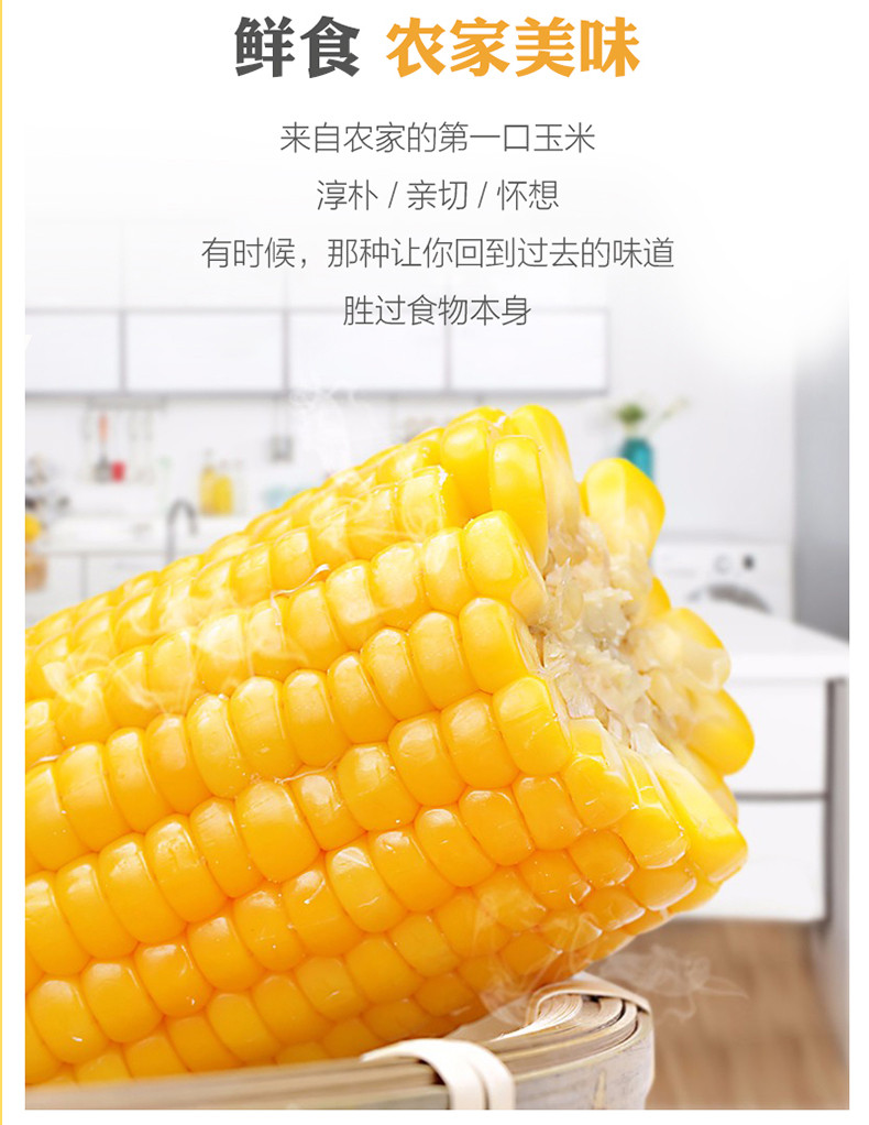 潮誉坊 糯玉米10支2600g