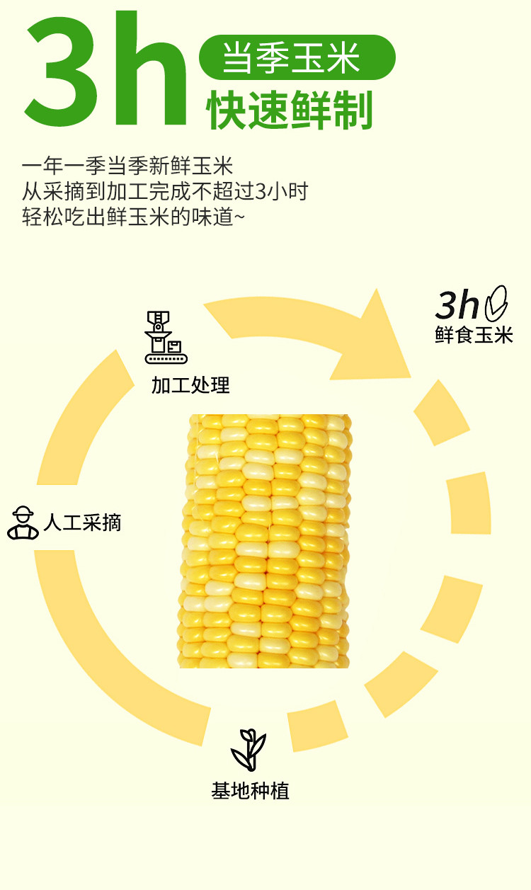 睿丽 甜玉米段