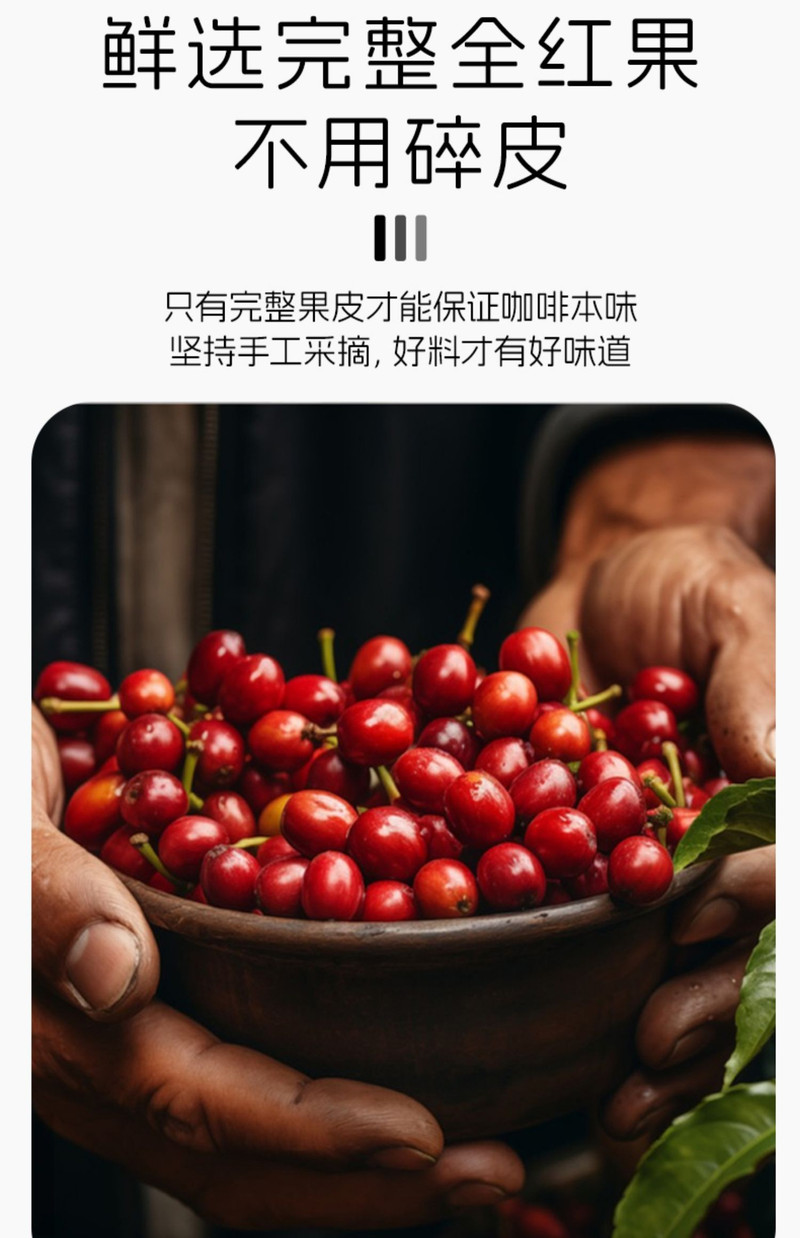 爱伲庄园 咖啡果皮茶100g/袋