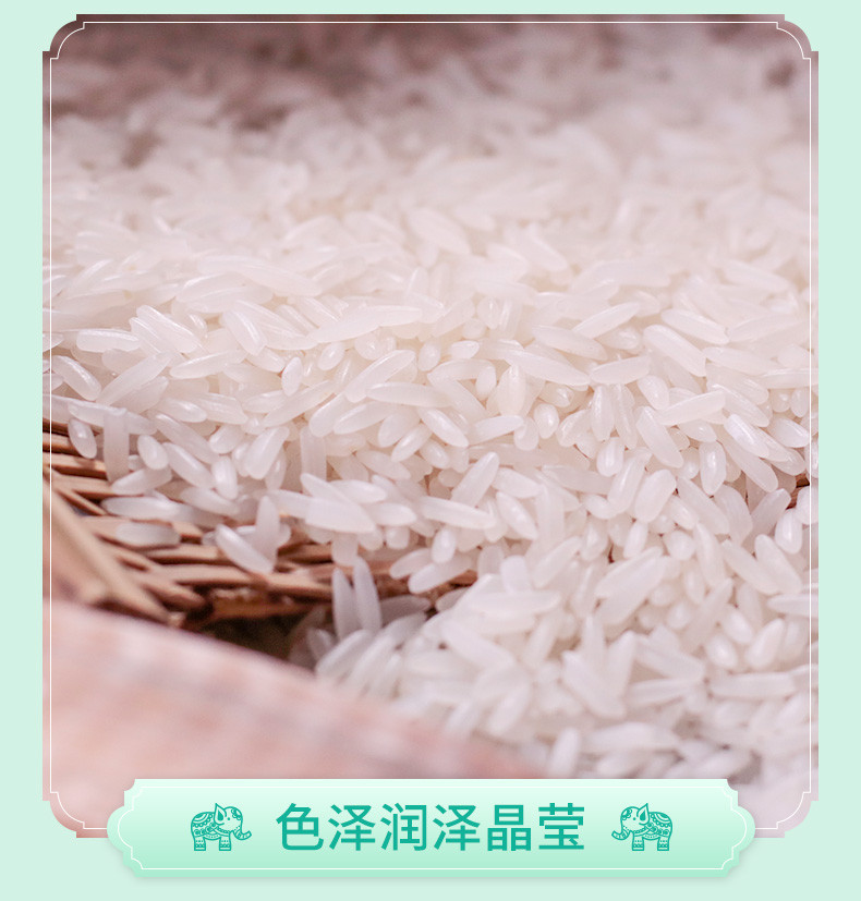 冠粮谷 泰国香米大米10斤原粮进口新米长粒香米真空包装