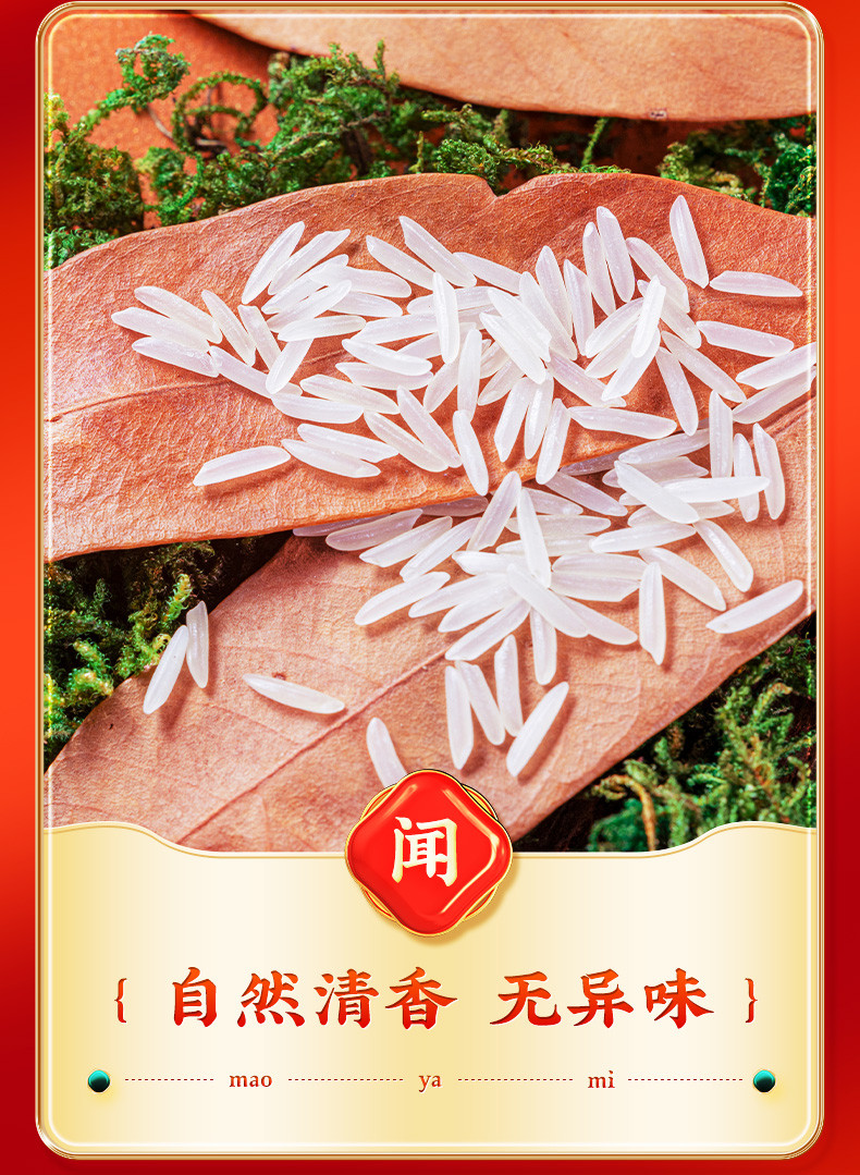 品冠膳食 泰式猫牙米10斤长粒大米5kg香糯绵软广东煲仔饭用米真空包装