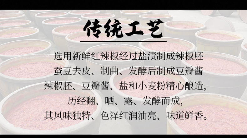 红运佳 红油豆瓣酱500g*1瓶家用豆瓣正宗川味色泽红亮炒菜颜色棒