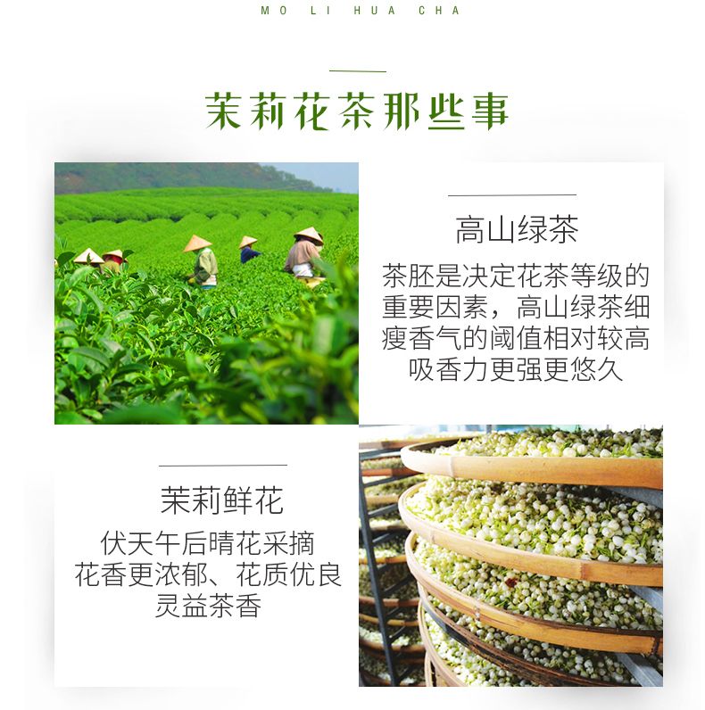 申成 茉莉花茶2023新茶特级浓香型花茶茉莉花茶奶茶店袋装