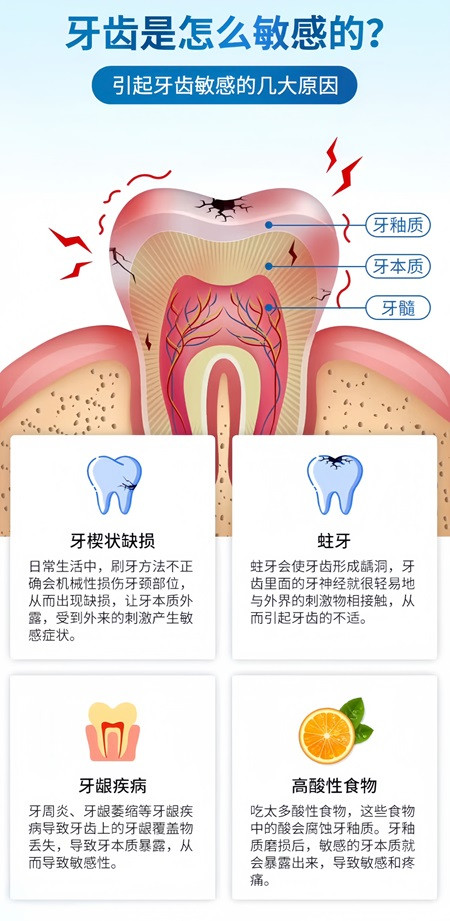 天福 【会员亨实惠】脱敏糊剂(红管）