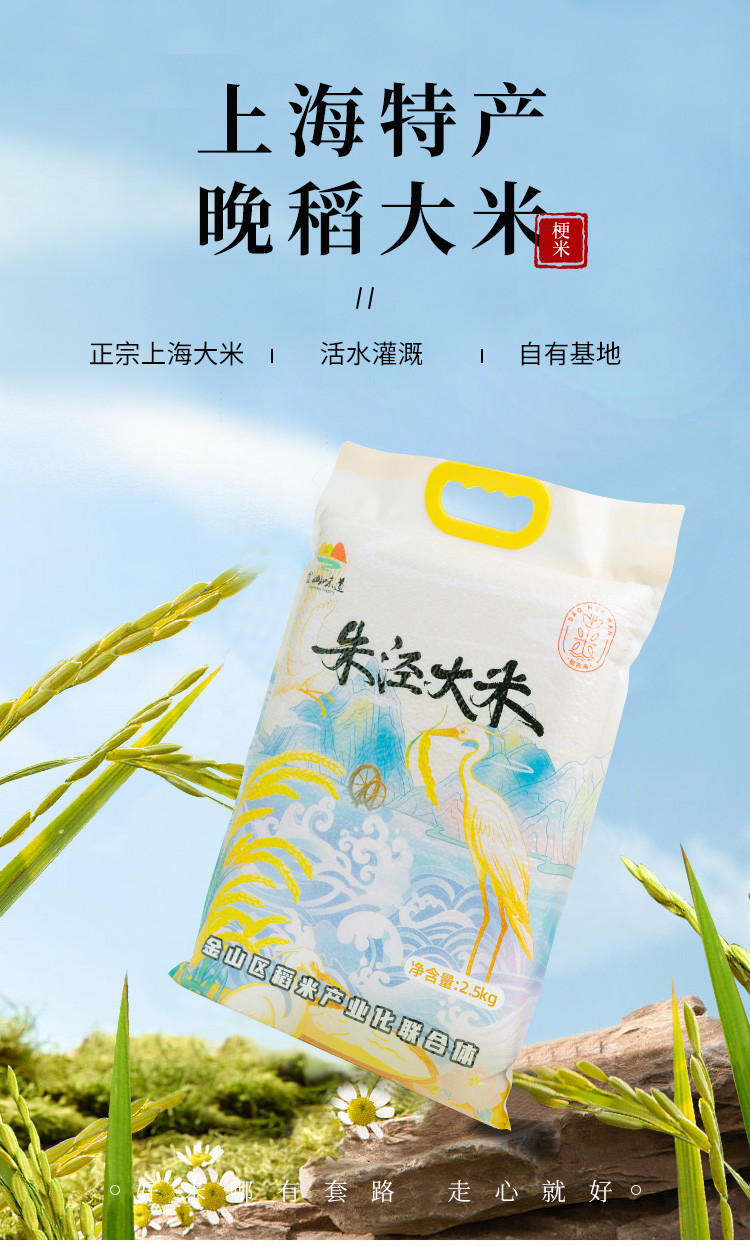 稻花湾 朱泾大米