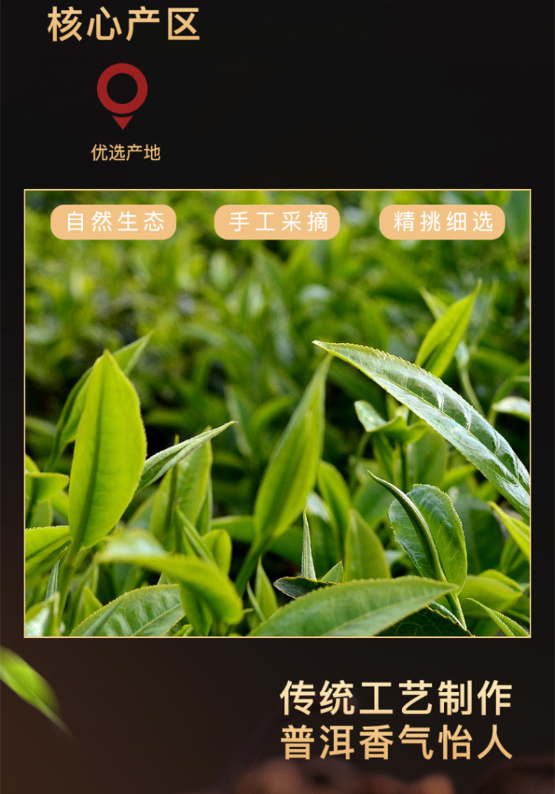 福东海陈皮普洱茶200克 茶叶正宗生晒柑云南宫廷普洱熟茶养生茶 礼