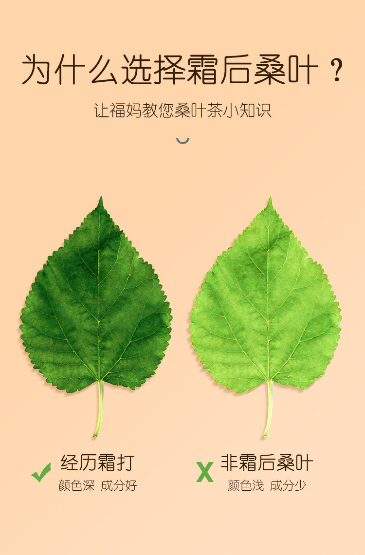 福东海 桑叶茶120g袋泽菊苣栀子茶葛根百合桑叶茶酸绛茶组合花茶