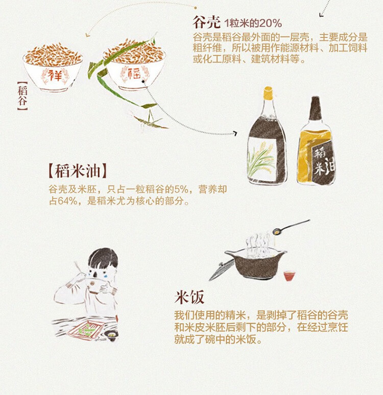 金龙鱼 精萃稻米油 1.5升