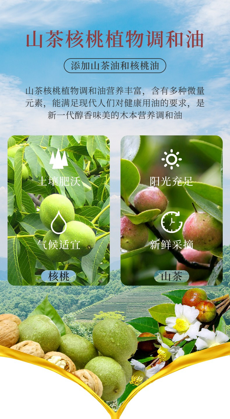 楚星山茶核桃调和油5L