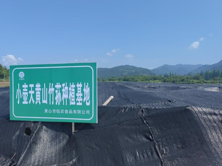 小壶天 有机黄山竹荪食用干菌菇南北干货煲汤原料自有基地种植