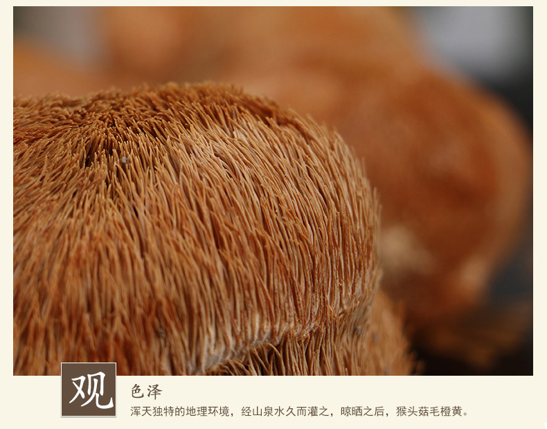 小壶天【消费扶贫】猴头菇黄山山珍食用干菌菇南北干货煲汤原料120g