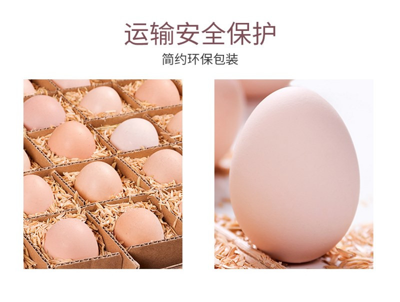 爱惜福 【湖北橘林散养土鸡蛋】天然谷饲土鸡蛋小鸡蛋散养单枚40 g+