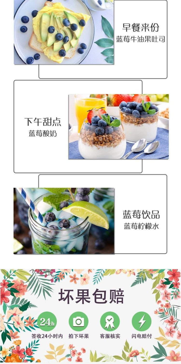  高山蓝莓鲜果当季新鲜水果【顺丰包邮】【单果14-18mm】  悟岳