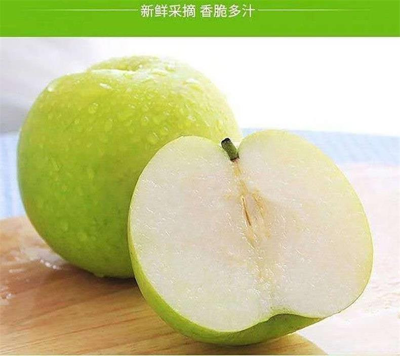 悟岳 正宗砀山梨子9斤当季水果新鲜青梨酥脆一号