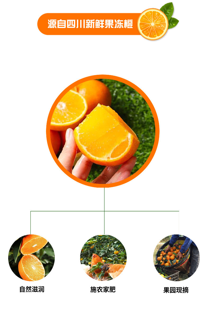限量【秒杀19.9元】四川爱媛38号果冻橙3斤大新鲜精品多汁 悟岳
