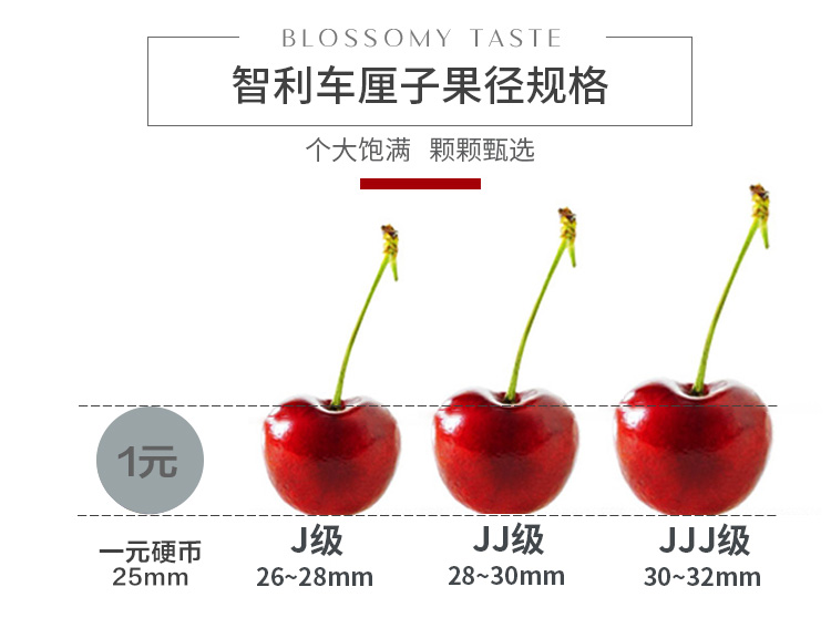 【领券立减10元】车厘子新鲜水果顺丰包邮当季整箱现摘现发 悟岳