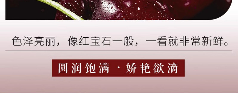 【领券立减10元】车厘子新鲜水果顺丰包邮当季整箱现摘现发 悟岳