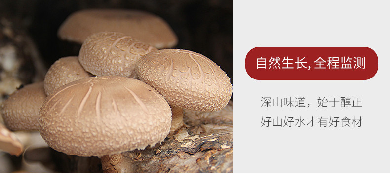 龙泉山 精品香菇206g