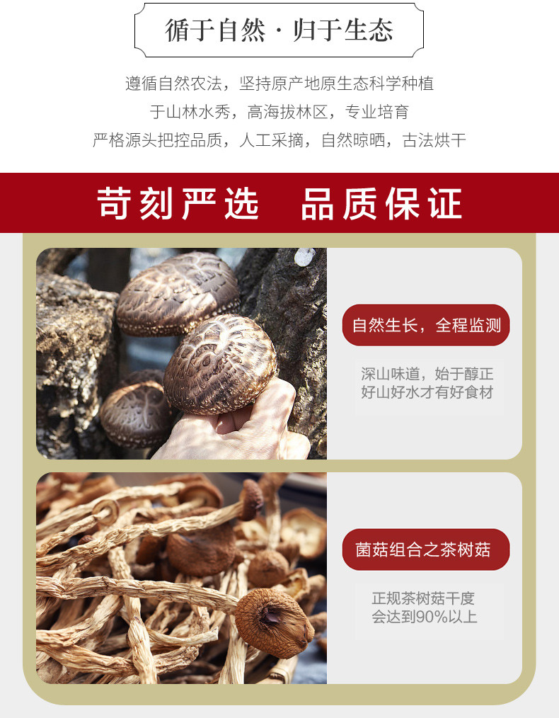 龙泉山 茶树菇菌菇汤95g