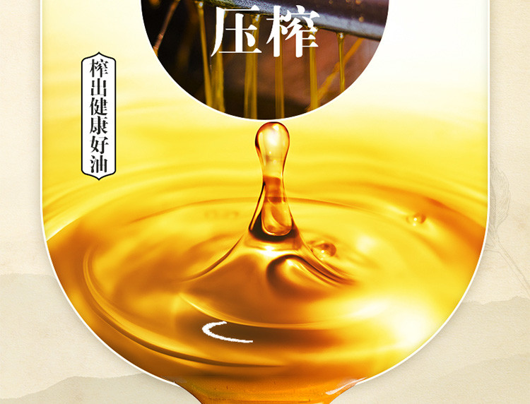 金龙鱼 压榨本香菜籽油5L（非转压榨）