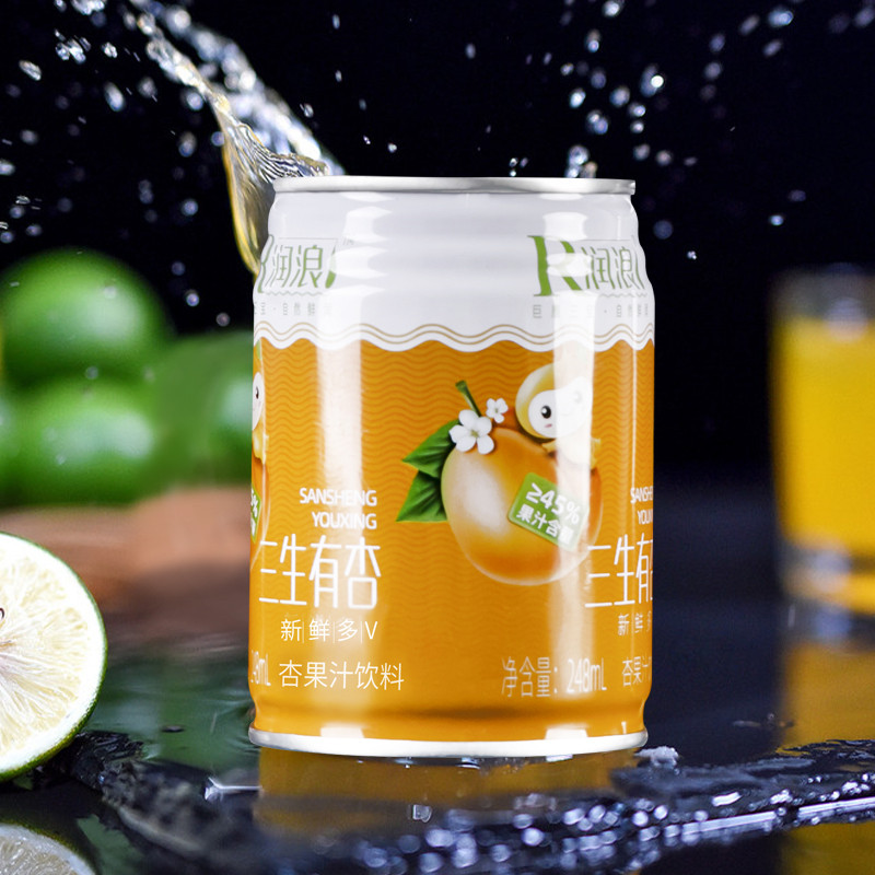 润浪 杏花饮料248ml*20罐