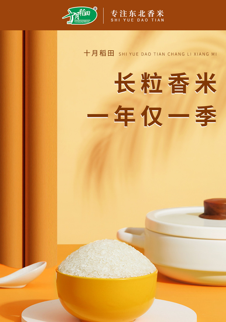 十月稻田辽河 长粒香米2.5kg一年一季、嚼劲回甘，入口绵润，香软甘甜