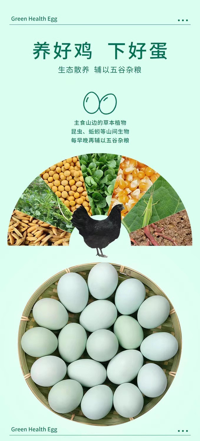 农家自产 新鲜散养乌鸡蛋绿壳蛋自然营养健康谷物蛋土鸡蛋笨鸡蛋山鸡蛋