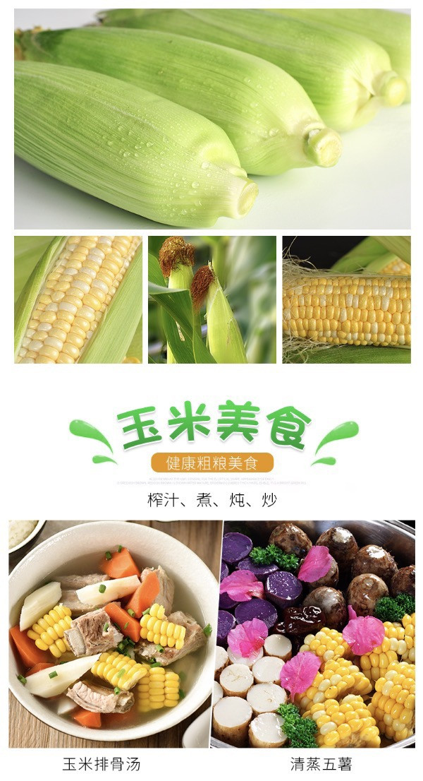 农家自产 云南新鲜水果玉米 3/5/9斤整箱甜玉米嫩玉米金银水果玉米