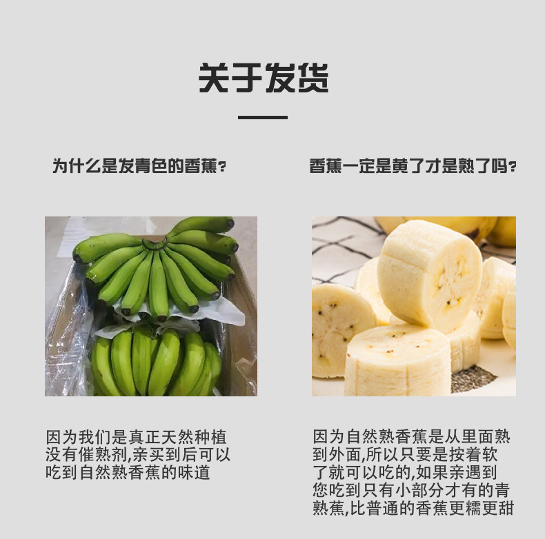 农家自产 广西威廉斯香蕉家庭装超甜芝麻香蕉甜糯苹果小米蕉水果产地直发