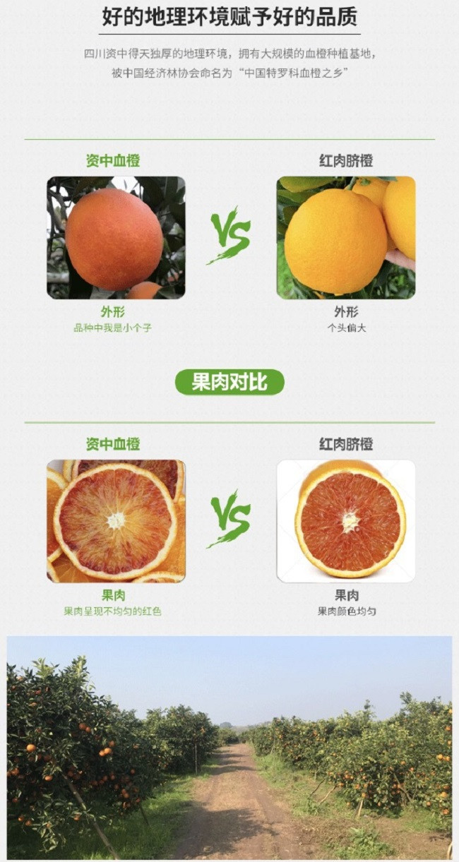 农家自产 四川塔罗科血橙3斤后期血丝少或无应季新鲜水果橙子脐橙柑橘