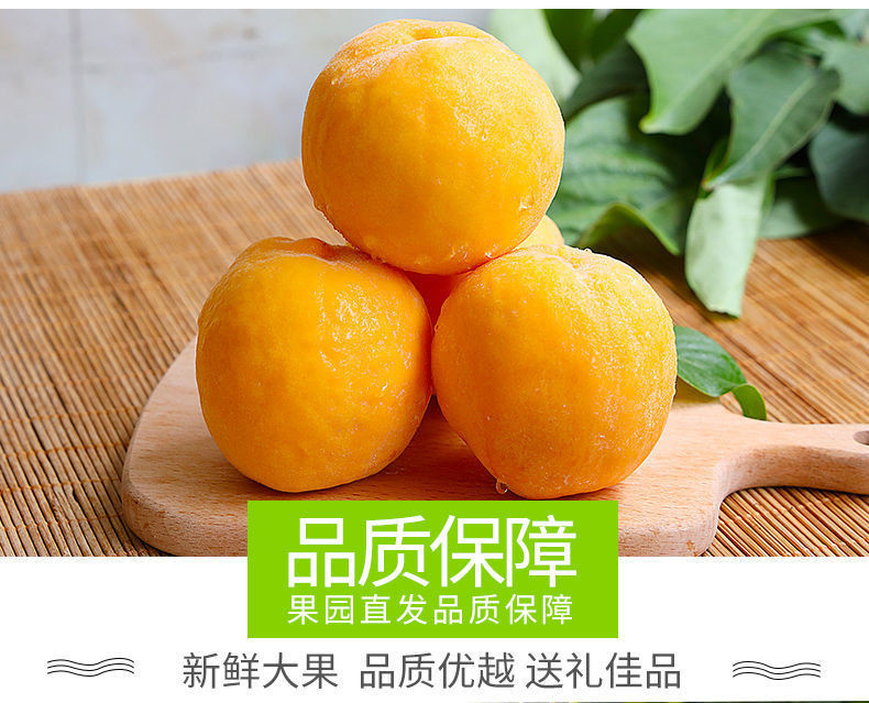 农家自产 黄桃新鲜水果桃子黄毛桃现摘现发产地直发特产多汁蜜桃